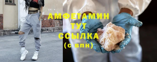 шишки Богородицк